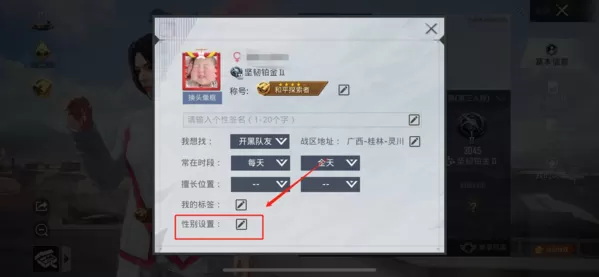 和平精英国际服官方正版