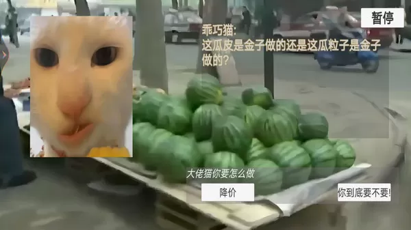 猫猫惊魂夜恐怖版 猫猫惊魂夜恐怖版