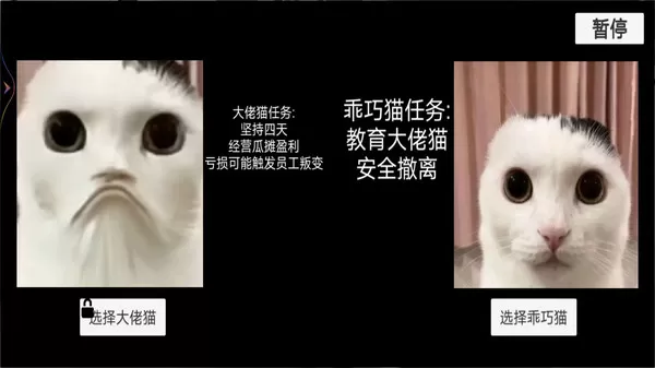 猫猫惊魂夜恐怖版 猫猫惊魂夜恐怖版